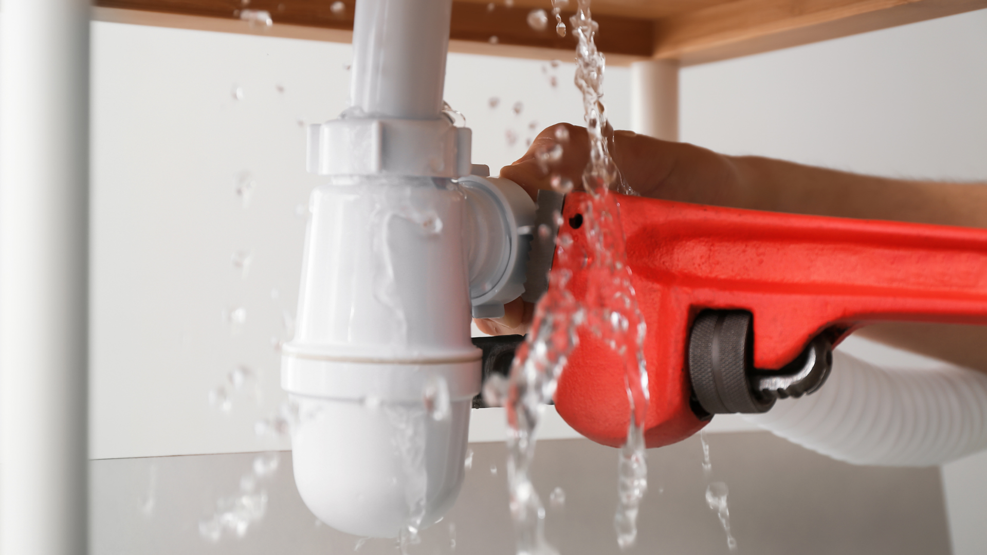 Embrace the Changing Seasons: Prepping Your Plumbing for Fall in Phoenix