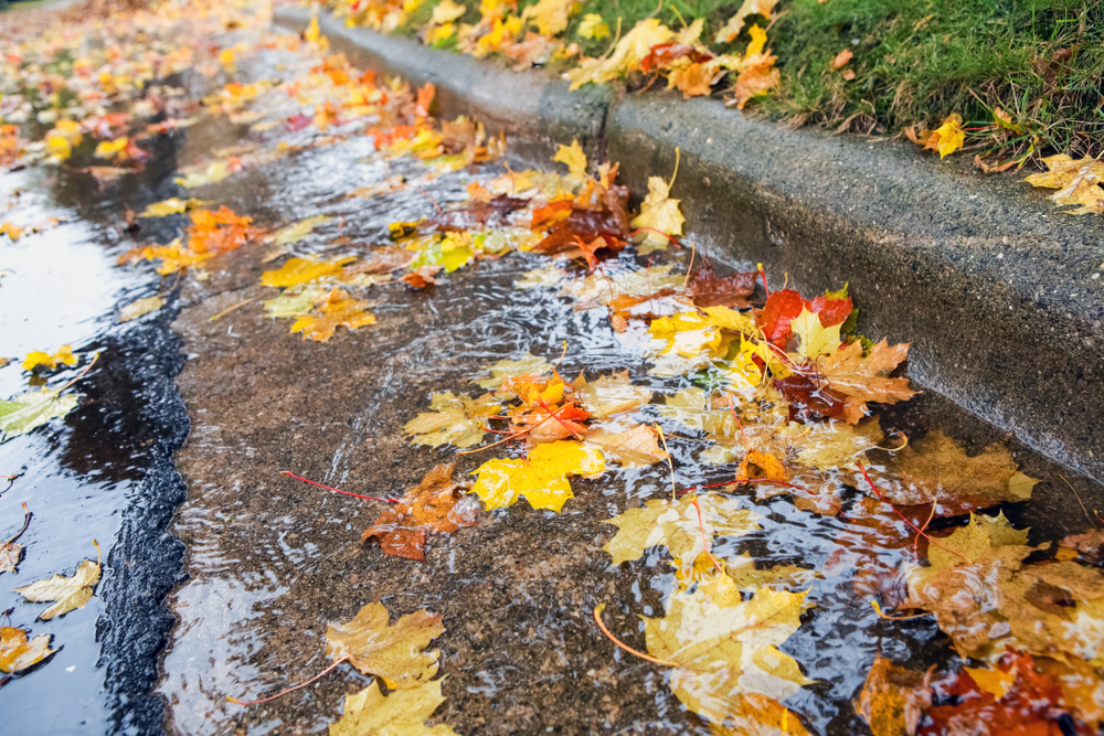 Fall,leaves,clogging,stormwater,drains,at,the,curb,in,the